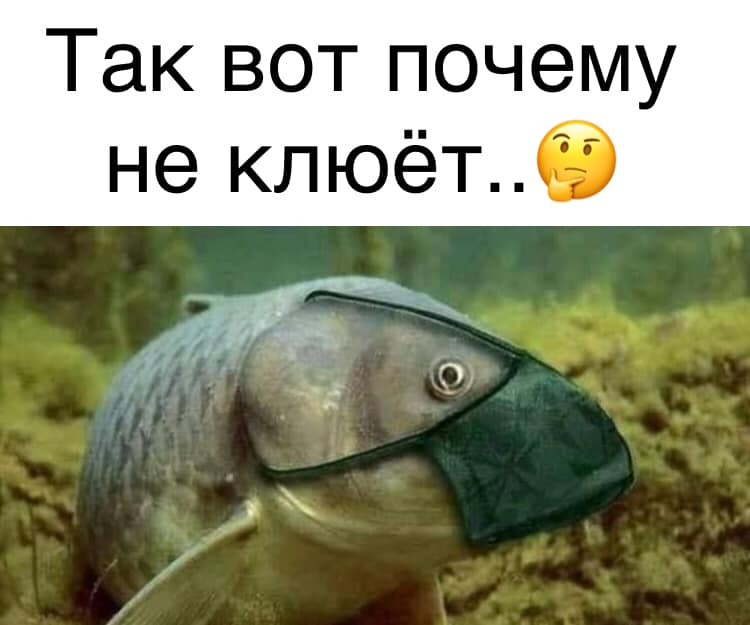 14696527.jpg