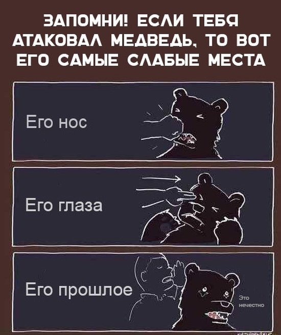 12808024.jpg