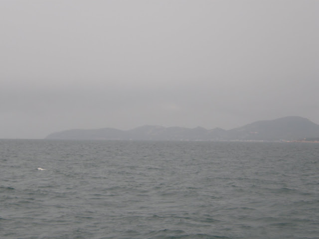 P4240967.JPG