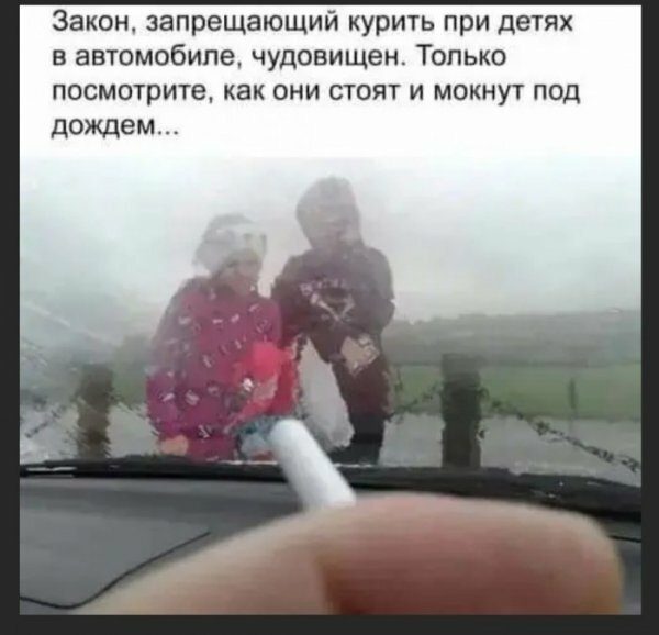 13547950.jpg