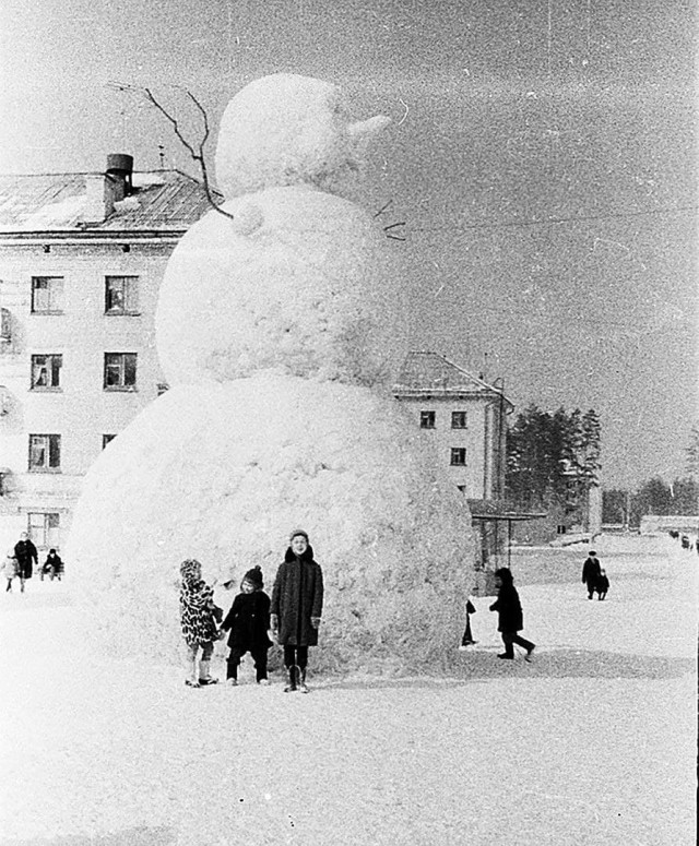 16331159.jpg