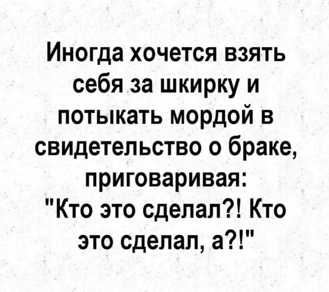 16135264.jpg