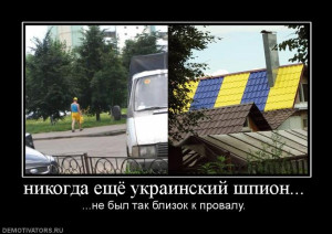 35244_300.jpg