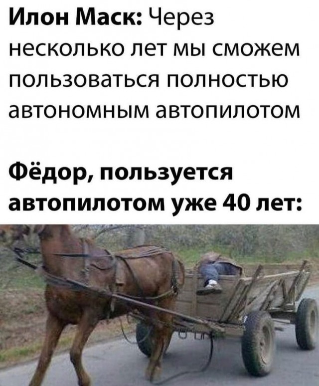 16199522.jpg