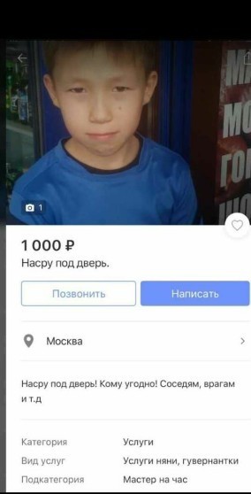 14709515.jpg