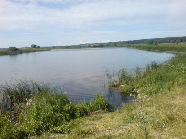 i-268.jpg