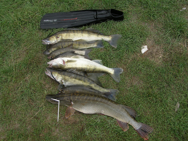 PA061818.JPG