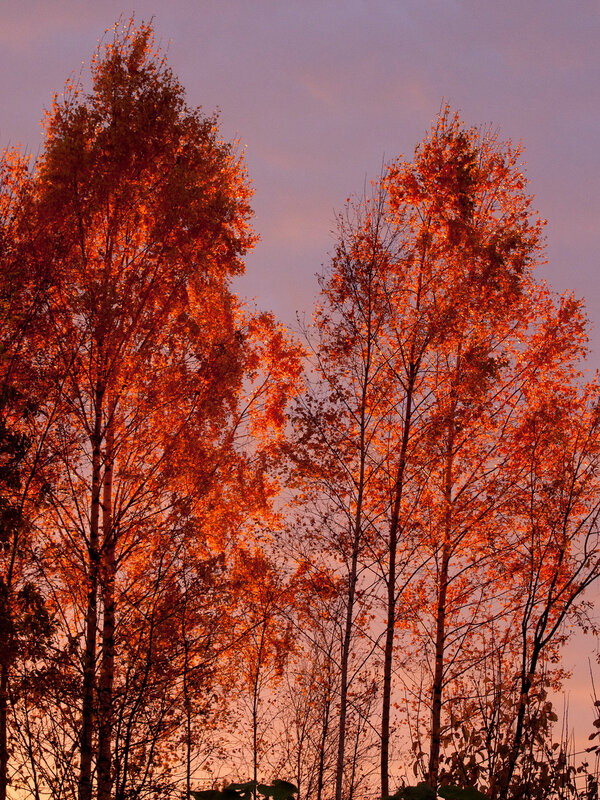 0_8c8d1_37949d06_XL.jpg