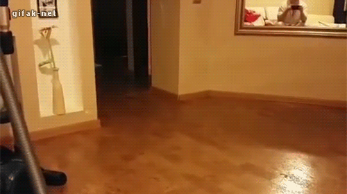 tumblr_nb0ub9xwhS1s2yegdo1_500.gif