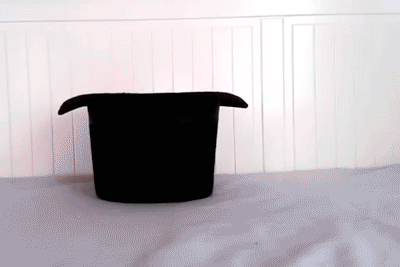 tumblr_ngzmgeu4Iy1tgt7sro1_400.gif