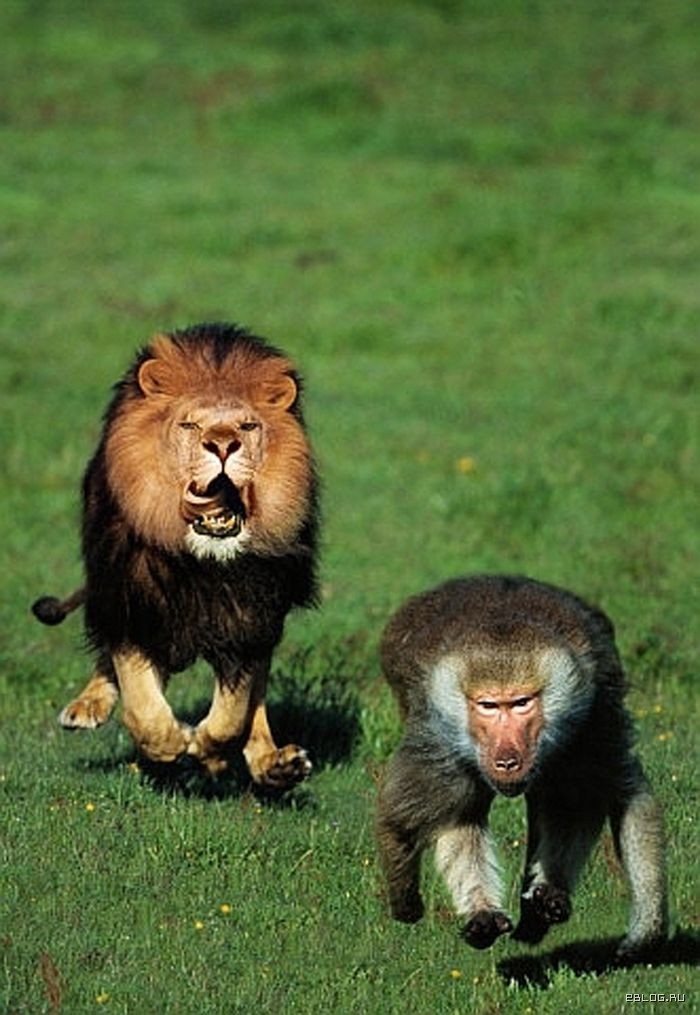 funpics_19.jpg