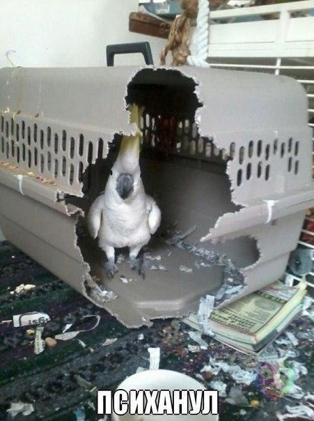 BPGkdQoFhNo.jpg