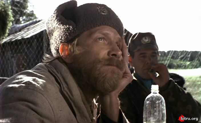 1141682.jpg