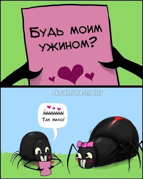wxWPQBy1NvY.jpg