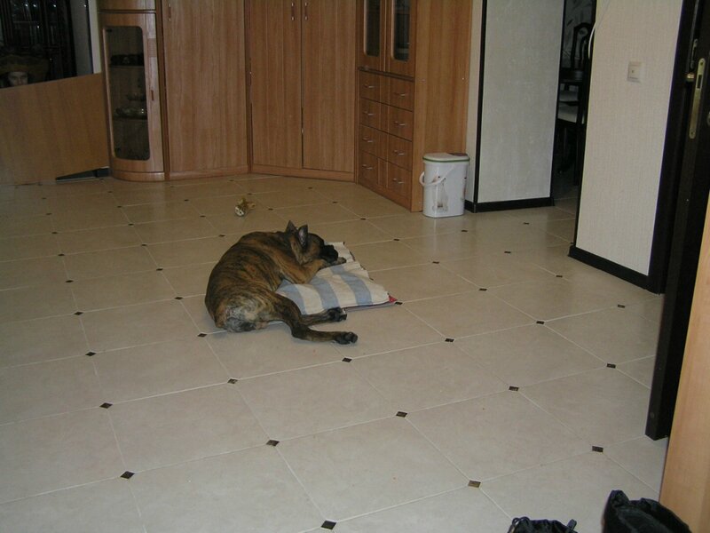 0_93ace_16889b40_XL