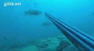 к.gif
