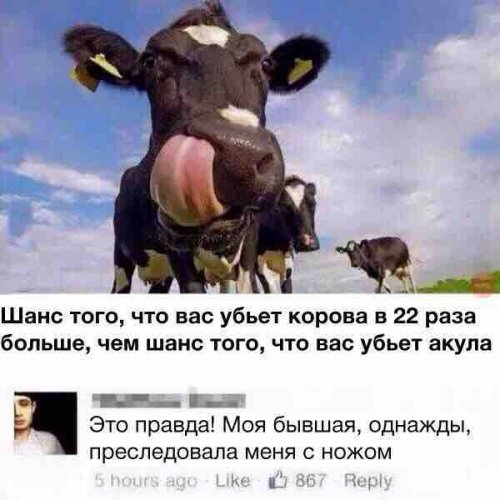17572967.jpg