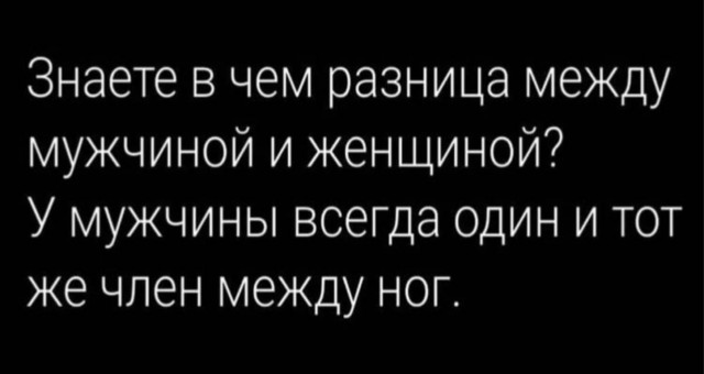 15543937.jpg
