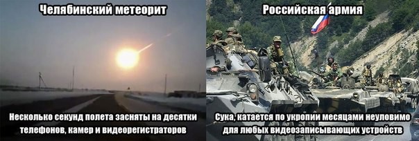 3911220.jpg
