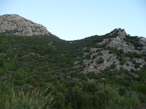 i-18.jpg
