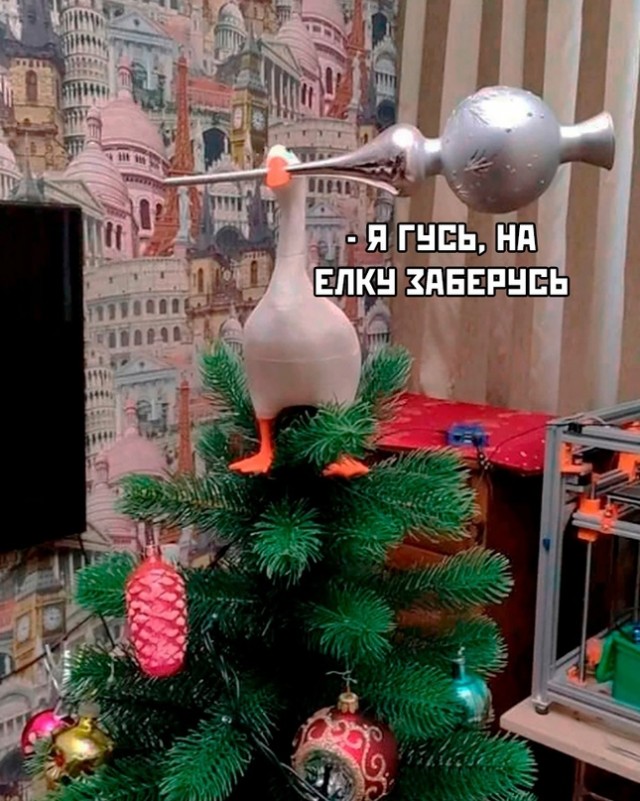 16281585.jpg