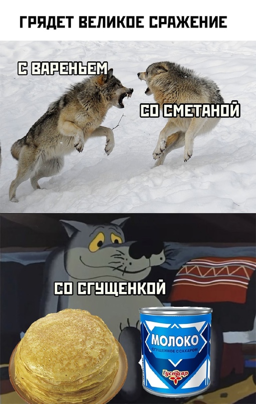 15321599.jpg