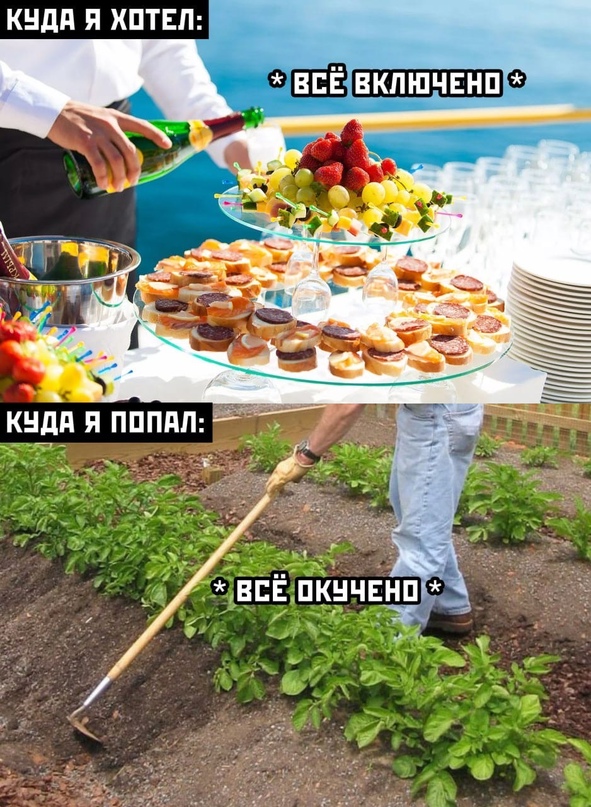 15461878.jpg