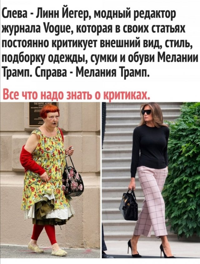15665203.jpg