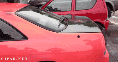 tumblr_mu6mq87iXR1s2yegdo1_400.gif