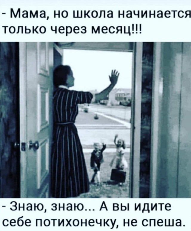 15783420.jpg