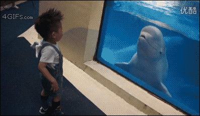1383275903_1722039588.gif