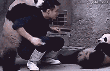 tumblr_ndoferoeOk1s2yegdo1_400.gif