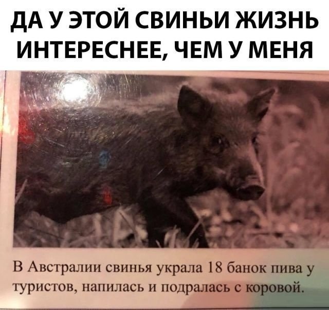 lo_43wVkTNw.jpg