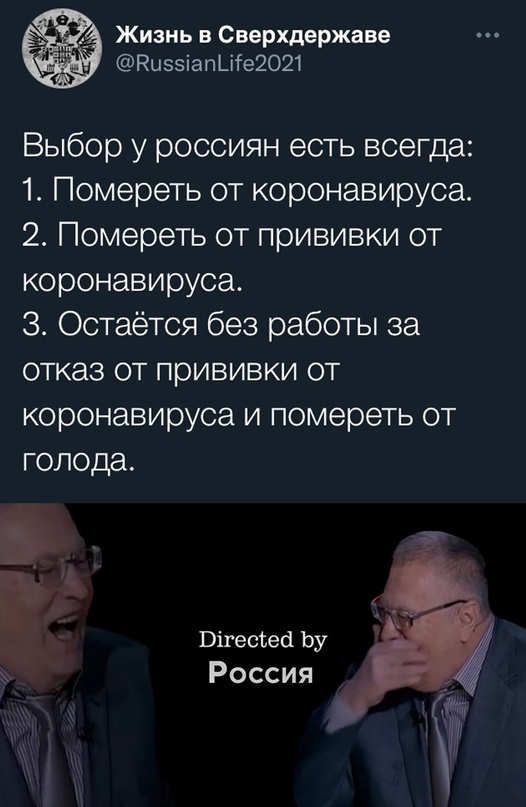 15717612.jpg
