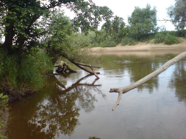 i-267.jpg