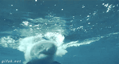 tumblr_njgbpanBTP1s2yegdo1_400.gif