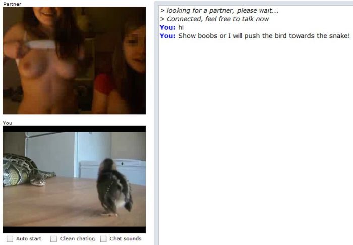 chatroulette_02.jpg