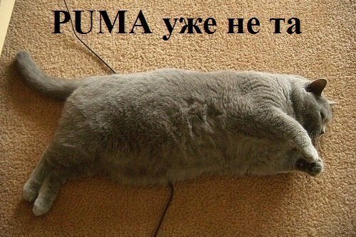 YeM8zyiCT9o.jpg