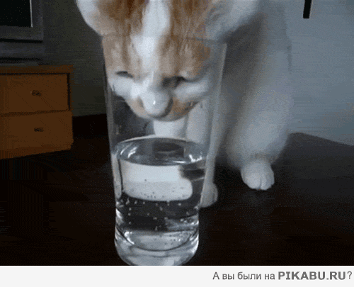 108f60.gif