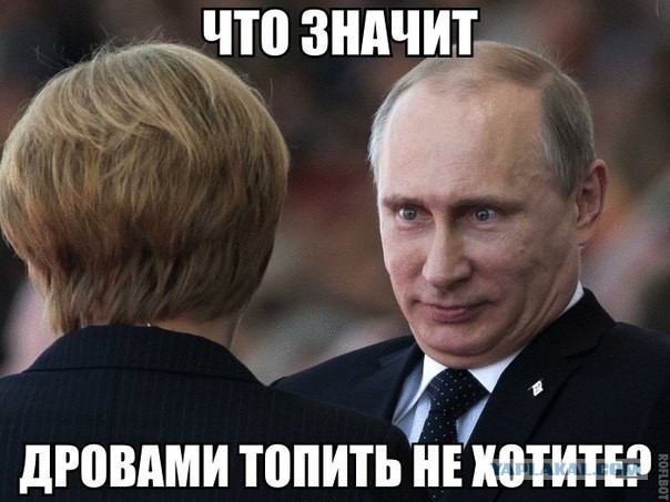 3914339.jpg