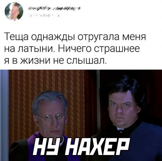 15693938.jpg