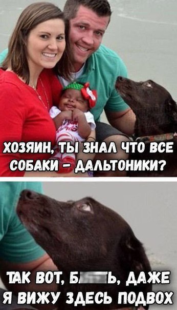yEW2Vt3Z8Fg.jpg
