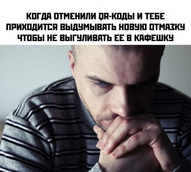 15752059.jpg