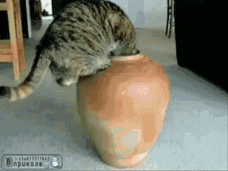 13400834167362.gif