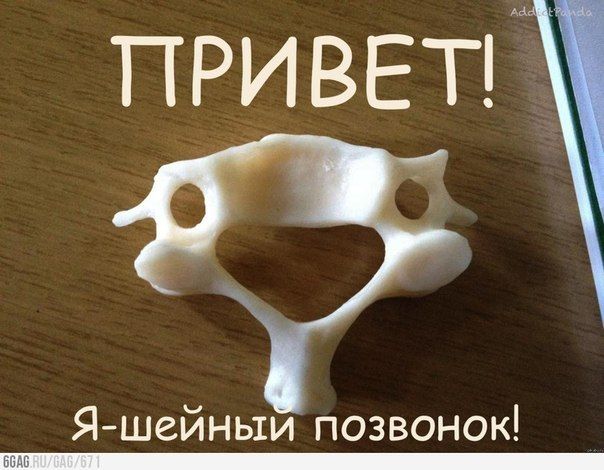 Kf_Zn8XEaqo.jpg