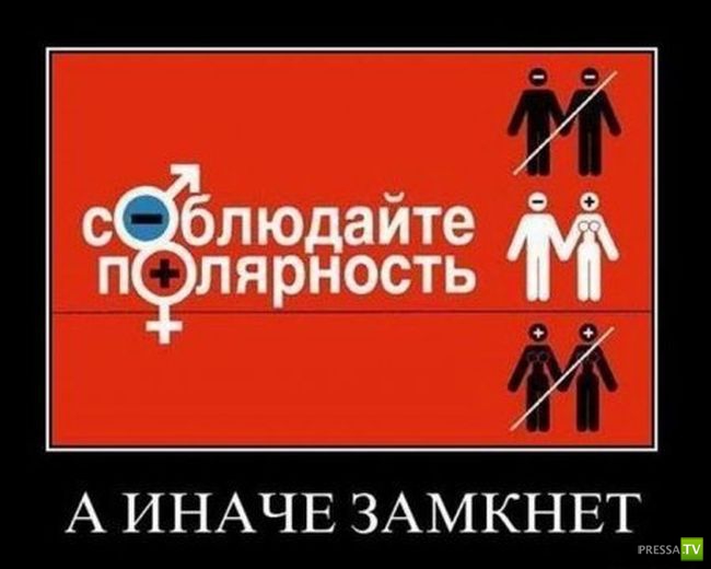 1335461255_15.jpg