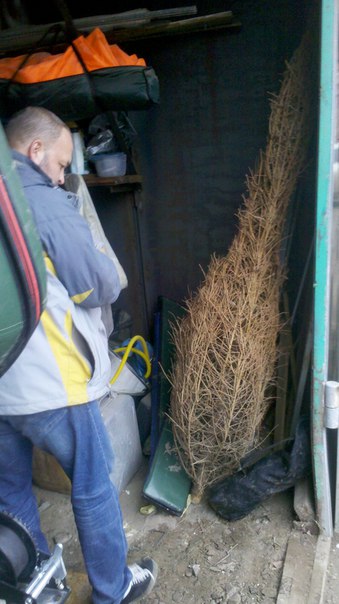 mid_kJpx8A0.jpg