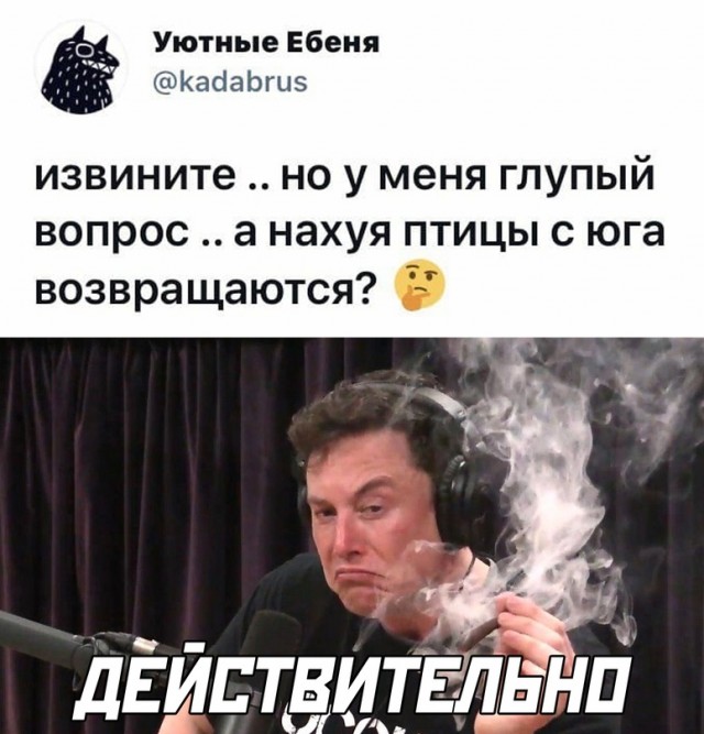 15471097.jpg