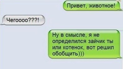 -L8LsaiZHPs.jpg