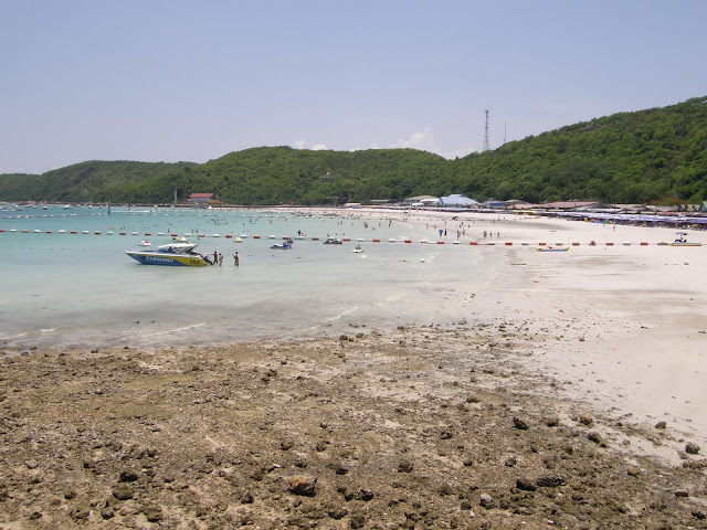 P4200851.JPG